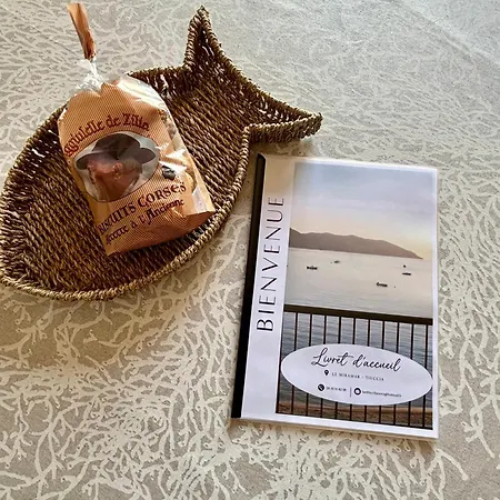 A 20min D Ajaccio, Grand 3 Personnes - Pieds Dans L'eau - Acces Direct - Vue Exceptionnelle Casaglione