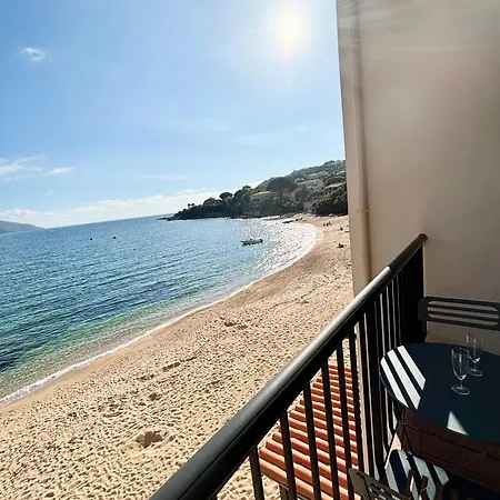 A 20min D Ajaccio, Grand 3 Personnes - Pieds Dans L'eau - Acces Direct - Vue Exceptionnelle