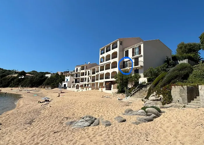 A 20min D Ajaccio, Grand 3 Personnes - Pieds Dans L'eau - Acces Direct - Vue Exceptionnelle Apartment