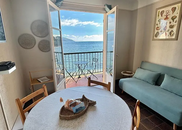 公寓 A 20min D Ajaccio, Grand 3 Personnes - Pieds Dans L'eau - Acces Direct - Vue Exceptionnelle