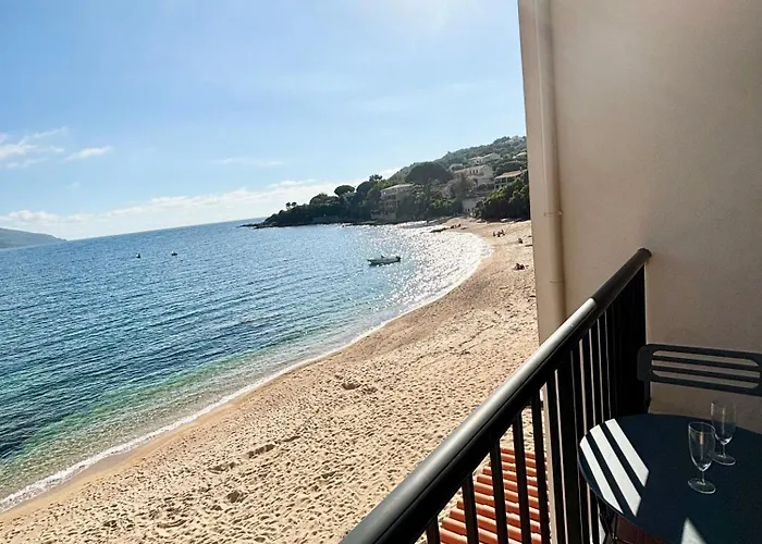 A 20min D Ajaccio, Grand 3 Personnes - Pieds Dans L'eau - Acces Direct - Vue Exceptionnelle